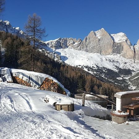Rifugio Negritella Hotel Pozza di Fassa Eksteriør billede