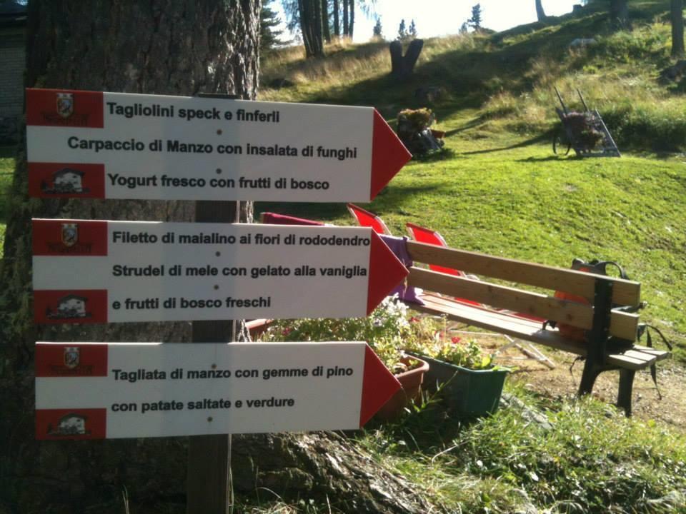 Rifugio Negritella Hotel Pozza di Fassa Eksteriør billede