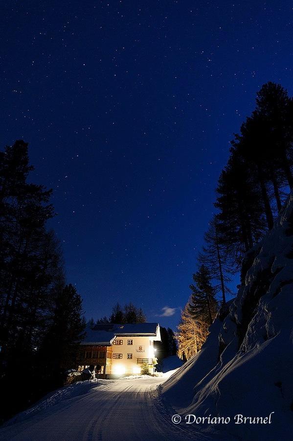 Rifugio Negritella Hotel Pozza di Fassa Eksteriør billede